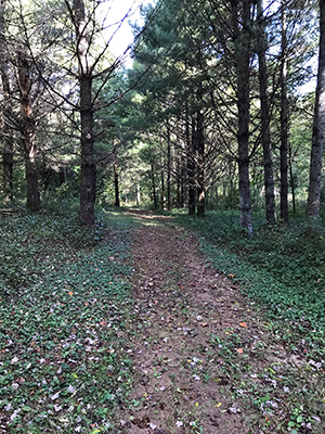 Tent Camp Sites